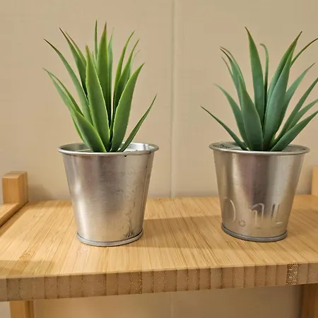 Divina House Apartment